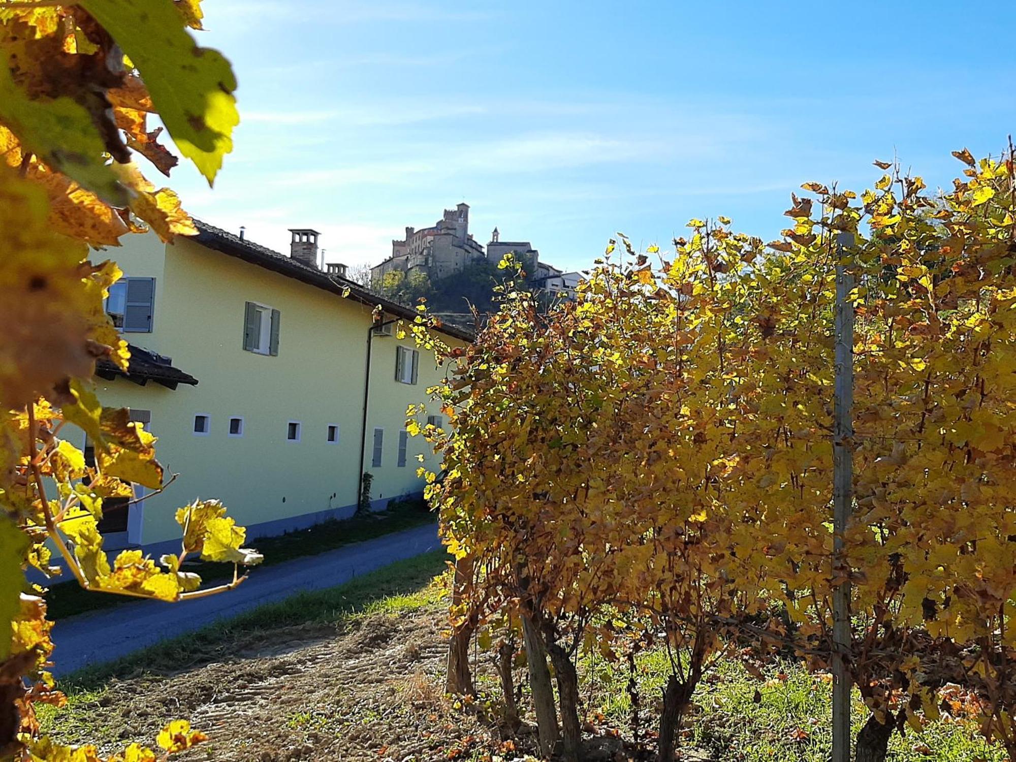 Appartement Ciabot Delle Aie - Barolo Extérieur photo